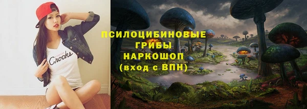 сатива Верхний Тагил