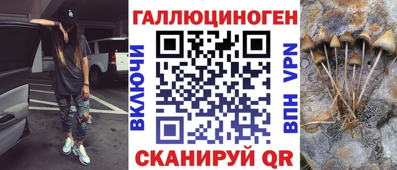 Галлюциногенные грибы GOLDEN TEACHER  продажа наркотиков  Вольск 